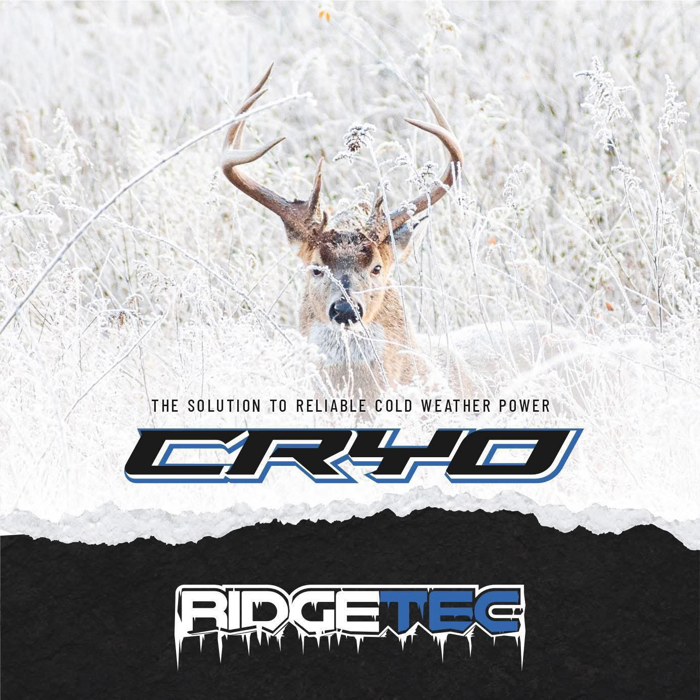 Li-ion 18650 Cryo-Cells (4-pack)