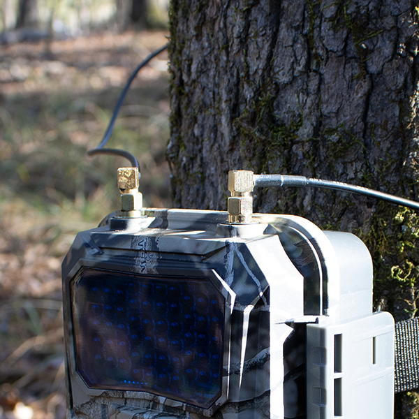 Antenna Extension Cable (10ft/3m)